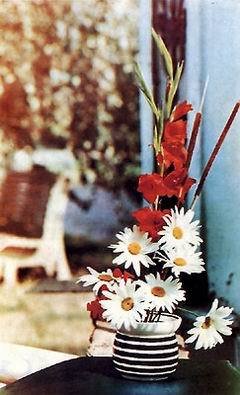 Беседы о фотомастерстве - dyko_color_5.jpg