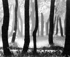 Беседы о фотомастерстве - dyko_photo_061.jpg