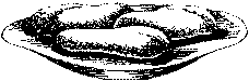 Фата-Моргана 4 (Фантастические рассказы и повести) - img_49.png