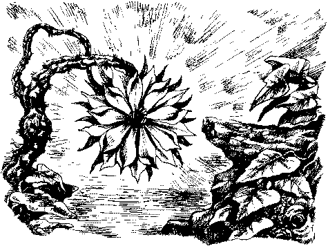 Фата-Моргана 4 (Фантастические рассказы и повести) - img_37.png