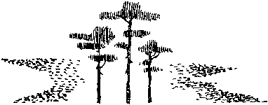 Фата-Моргана 5 (Фантастические рассказы и повести) - img_31.png