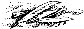Фата-Моргана 5 (Фантастические рассказы и повести) - img_35.png