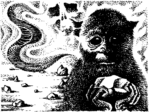Фата-Моргана 5 (Фантастические рассказы и повести) - img_64.png