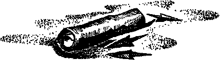 Фата-Моргана 1 (Фантастические рассказы и повести) - i_022.png