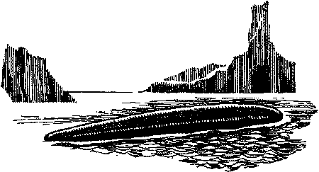 Фата-Моргана 1 (Фантастические рассказы и повести) - i_033.png
