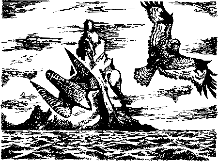 Фата-Моргана 1 (Фантастические рассказы и повести) - i_034.png