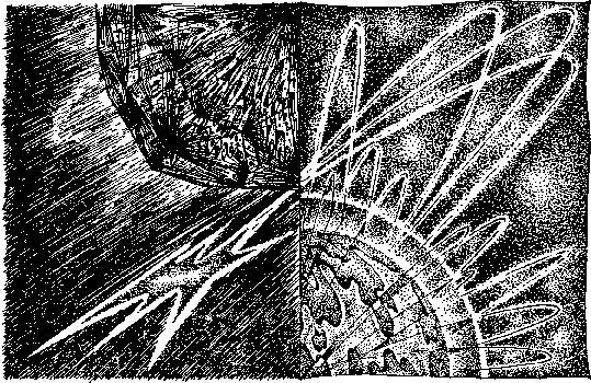 Остров пурпурной ящерицы - i_008.png