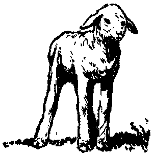 Неугомонный Носир - i_018.png