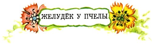 Желудёк - i_022.jpg