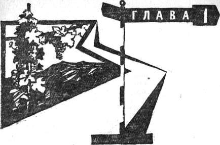 Через Кордильеры - i_001.jpg