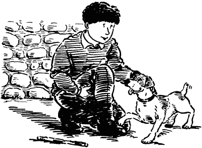 Собачье счастье - i_001.png