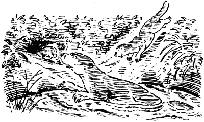 Собачье счастье - i_008.png