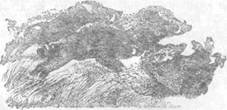 Повести и рассказы - i_143.jpg