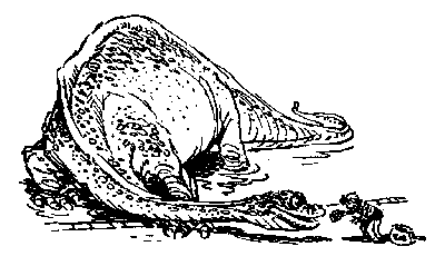 Девочка, с которой ничего не случится (с иллюстрациями) - i_005.png