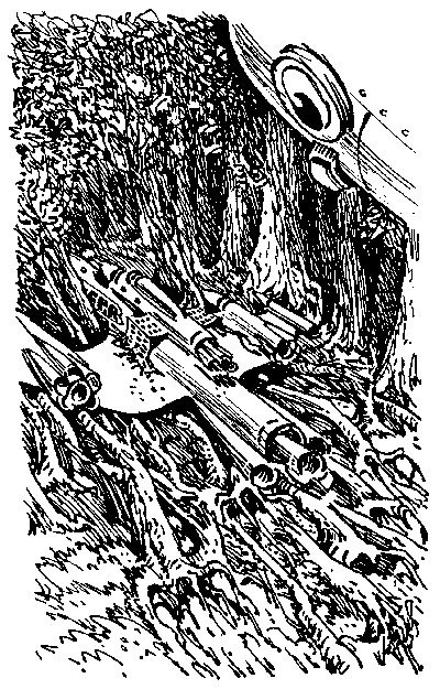 Город без памяти (с иллюстрациями) - i_003.png
