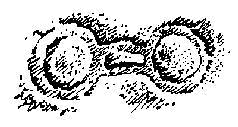 Гай-до (с иллюстрациями) - i_007.png
