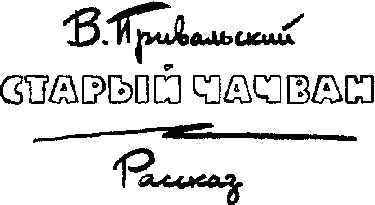 Старый чачван - Untitled7.png