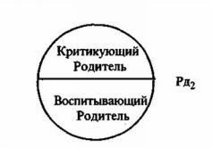 Психотерапия нового решения. Теория и практика - pic_8.jpg