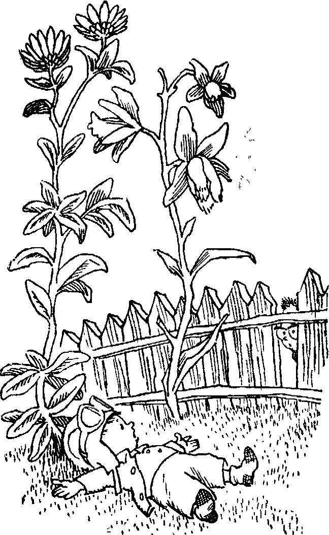 Незнайка на Луне (ил. Г.Валька ч-б) - doc2fb_image_03000014.png