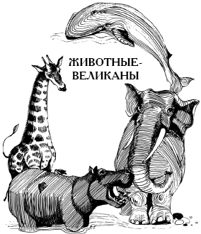 Энциклопедия животных - i_001.png