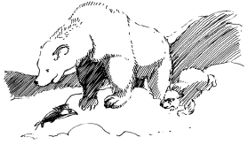Энциклопедия животных - i_004.png
