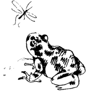 Энциклопедия животных - i_010.png