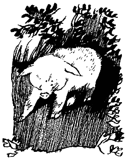 Книга Трех - i_07.png