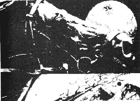 Дзвони зеленої Галактики - Untitled15.png