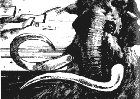 Дзвони зеленої Галактики - Untitled28.png