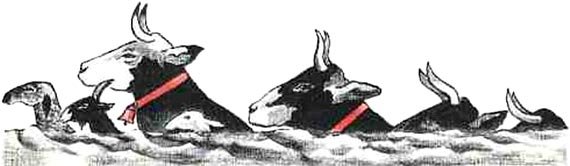 Ни далеко, ни близко, ни высоко, ни низко. Сказки славян. - i_068.jpg