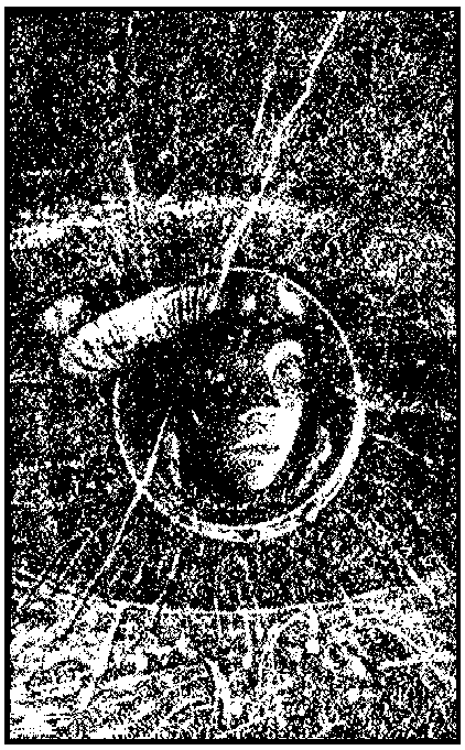 НФ: Альманах научной фантастики. Выпуск 30 - i_002.png