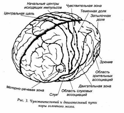 Искусство не стареть - image2.jpg