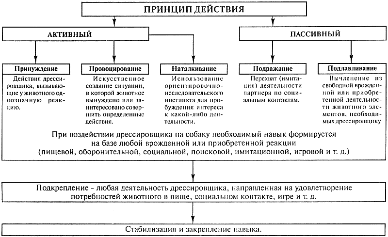 Кинологическое обеспечение деятельности органов и войск МВД РФ - i_012.png