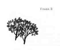 Пруд Белых Лилий - pic_09a.jpg