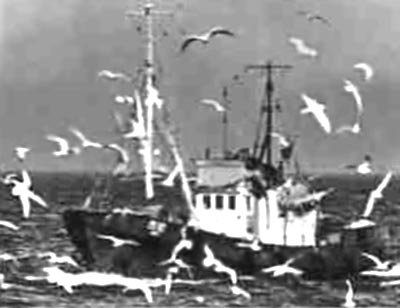 По морям вокруг Земли. Детская морская энциклопедия. Часть I - i_021.jpg