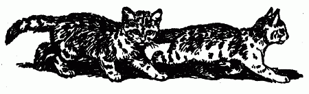 Встречи с животными - img_85.png