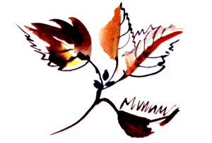 Байкала-озера сказки Том II разд.1 - i_028.png