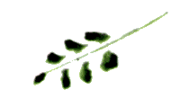 Байкала-озера сказки Том II разд.1 - i_034.png