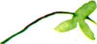 Байкала-озера сказки Том II разд.1 - i_048.png