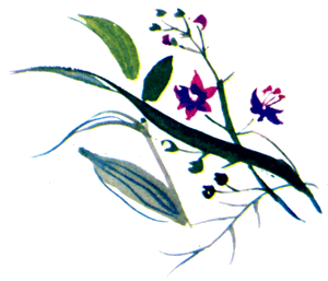 Байкала-озера сказки Том II разд.1 - i_073.png