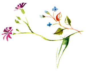 Байкала-озера сказки Том II разд.1 - i_077.png