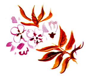 Байкала-озера сказки Том II разд.1 - i_088.png