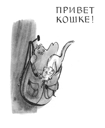Привет кошке! - i_003.png