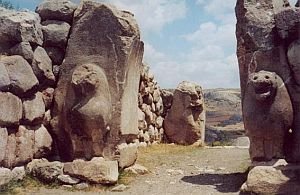 Нашествие. Хазарское безумие - i_075.jpg