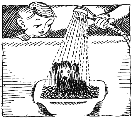 Кыш и Двапортфеля: Повести - i_006.png