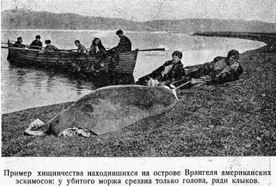 На Советском корабле в Ледовитом океане - i_022.jpg