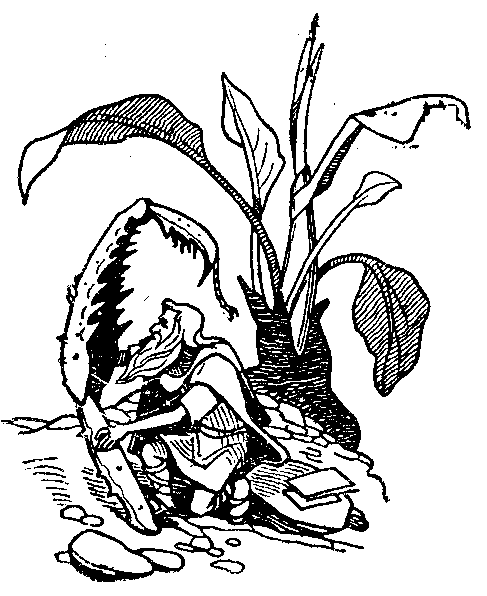 В країні дрімучих трав - doc2fb_image_03000010.png