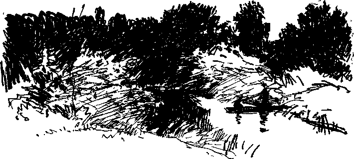 Пора забот - i_003.png
