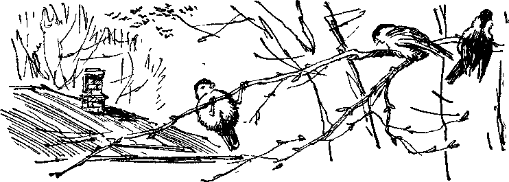 Утро года - i_005.png