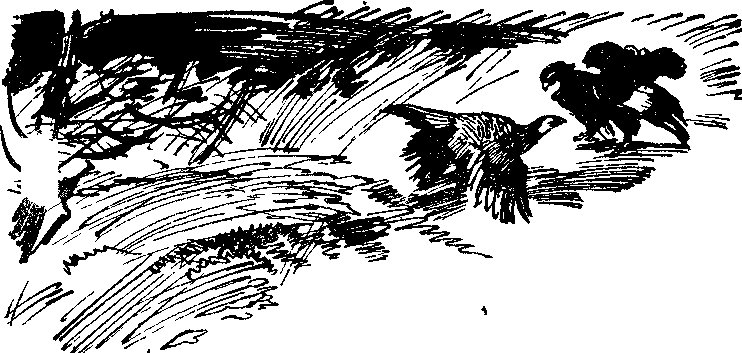 Утро года - i_007.png